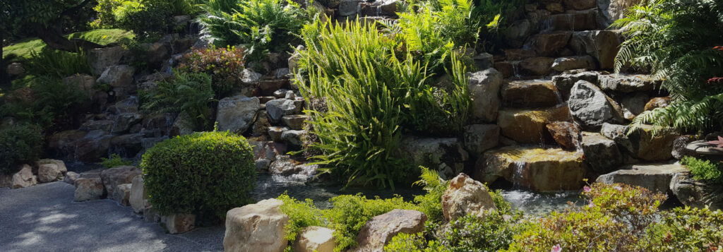 Rock waterfall cascading into a pond, surrounded by green foliage, ferns, and layered landscape planting.