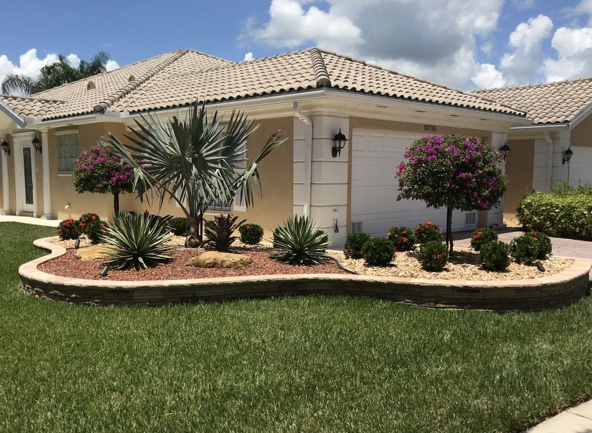 A vibrant front yard garden with layered flowering plants and desert-style foliage—crafted by CocosLandscapeLLC to enhance charm and color.